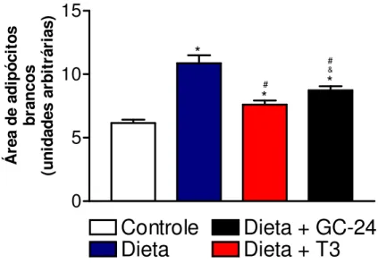 Figura 10: Média das áreas estimadas de adipócitos brancos de animais submetidos à dieta rica em  gordura e tratados com T3 10x (30 ηg/g P.C./dia) ou GC-24 em dose equimolar