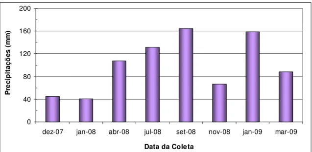 Figura 2. Precipitações nos meses de estudo da microbacia do Arroio Cidreira. 