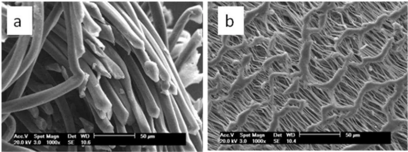 Figura 5.7. Micrografias dos materiais comerciais (a) Dacron e (b) PTFE; aumento de 1000x