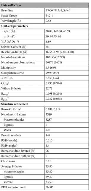 Table 1.  X-ray diffraction data collection and refinement statistics for RfCohScaB5-DocScaA