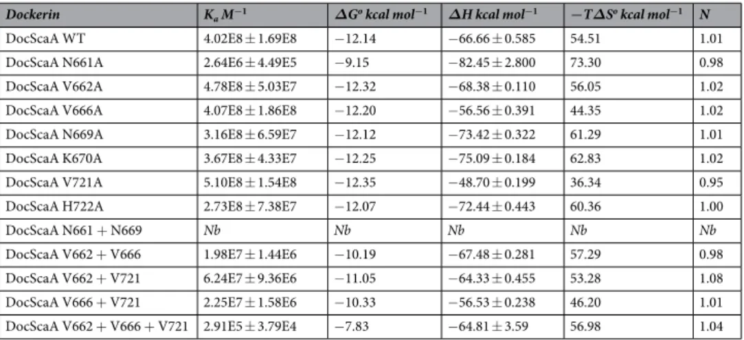 Table 3.  Thermodynamics of interaction between wild type CohScaB5 and wild-type and mutant variants of  ScaDocA