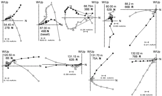 Fig. 5. The magnetostratigraphy of the Bentiaba section. Declination and inclina- inclina-tion values of magnetizainclina-tion components are interpreted in terms of normal (black blocks) and reverse (white blocks) polarity zones