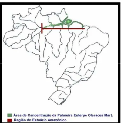 Figura 2.8 – Ocorrência geográfica espontânea da espécie Euterpe oleracea no Brasil  [44] 