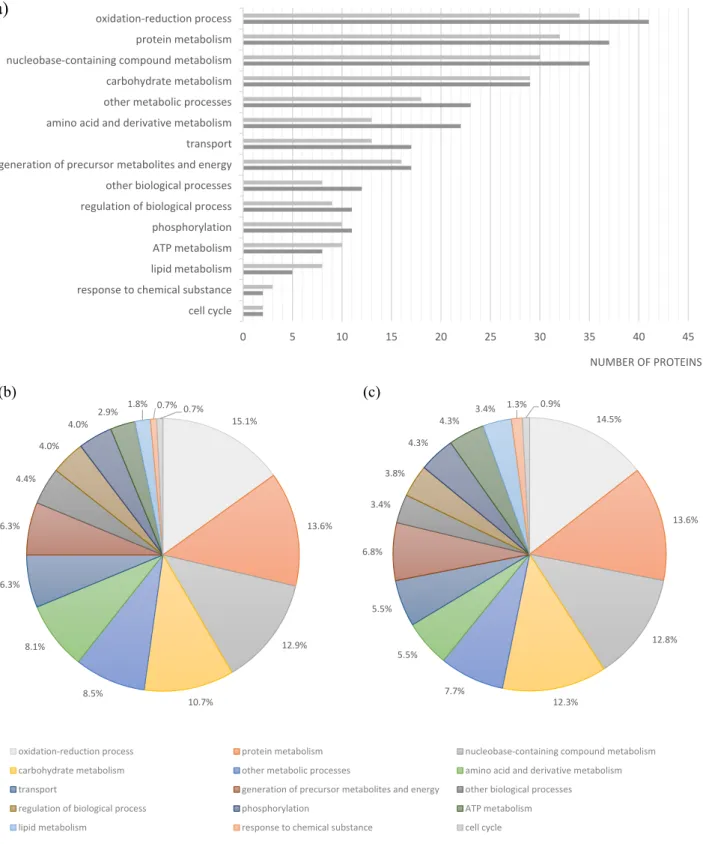 Figure 3. Functional classification of proteins identified in the Se20 and SL1344 strains  based on Gene Ontology