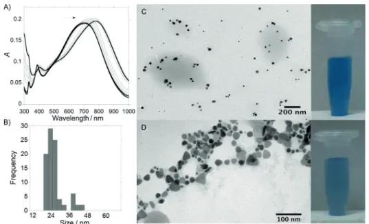 Figure 3. A) UV/Vis absorption spectra recorded in real-time (one spectrum per minute) during the self-assembly of AuNPs@citrate by L 2 to form AuNPs@(L) 2 