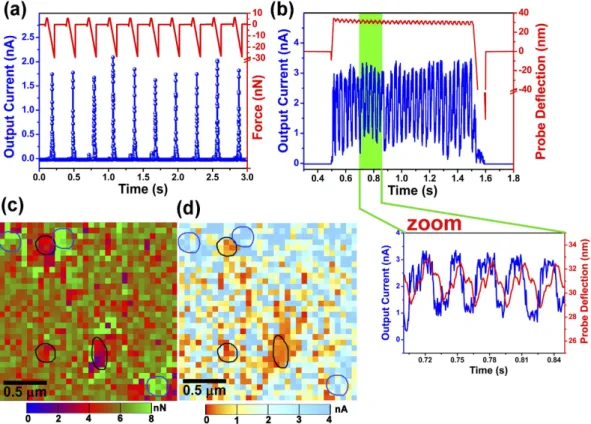 Figure 3. (a) Exhibits successive performance of current output from the PANI surface for each contact with  AFM probe under an applied force of 5.5 nN