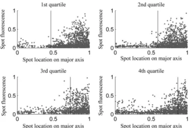 TABLE 5 Aggregate positioning along the major cell axis in cells of different quartiles of nucleoid size a