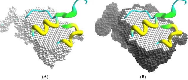 Figure 1. Docking grids. (A) Part of the core grid superimposed on the cartoon representation of the Annexin 24 monomer (PDB ID 1dk5) [38]; and in (B) is shown the surface cells