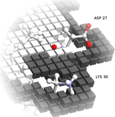 Figure 2. Soft docking grid. Using Annexin 24 monomer (PDB ID 1dk5) [38] as an example, this figure shows the core grid cells removed at the locations corresponding to the exposed side-chains of Asp27 and Lys30