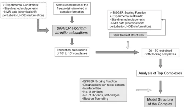 Figure 3. BiGGER Docking Process. Diagram explaining the approach used in molecular docking simulations using BiGGER