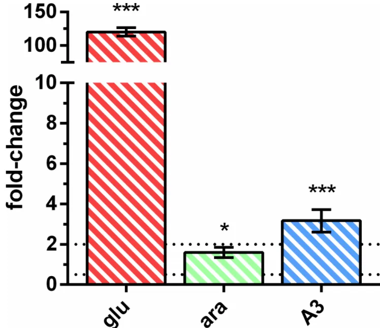 Fig 2. mRNA level of yurJ versus msmX in the B. subtilis wild-type strain. The results represent the relative expression of yurJ versus msmX