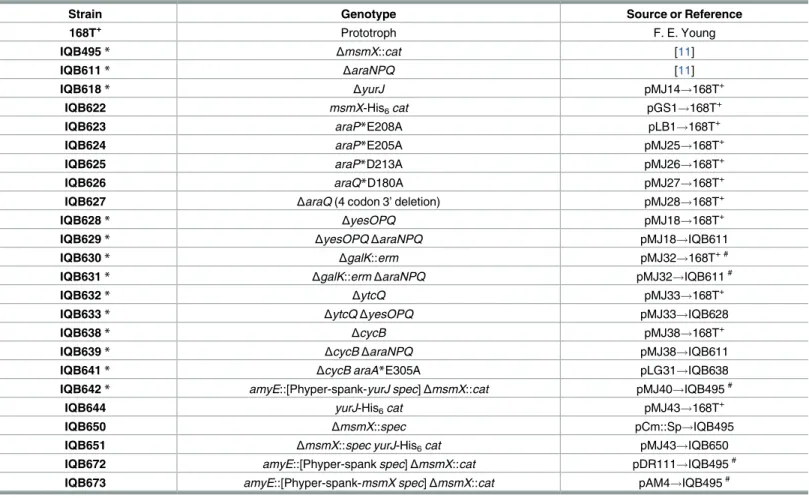 Table 1. List of B. subtilis strains used or constructed during the course of this work.