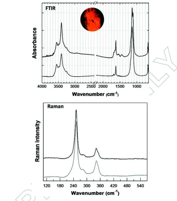 Figure 8. Spectral characterization of silver colour in Alc. 54, initial on fol. 92 (detail in the inset): infra- infra-red spectra of the infra-red ground and of a reference for gypsum, black and grey lines, respectively; Raman spectra for the same.