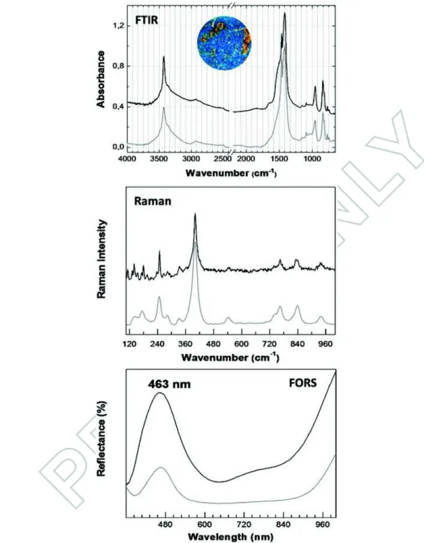 Figure 12. Spectral characterization of azurite in Alc. 54, blue initial on fol. 92 (detail in the inset): infra- infra-red spectra for blue colour and for azurite reference, black and grey lines, respectively; Raman spectra for ibid; reflectance spectra f