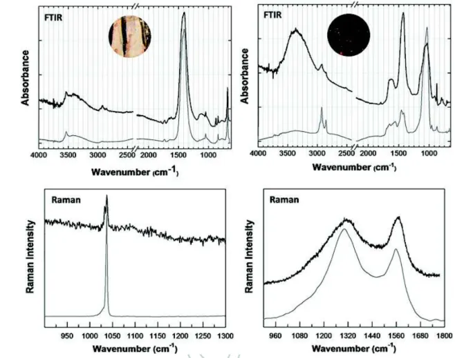 Figure 13. Spectral characterization of lead white and carbon black in Alc. 54, fol. 92 (detail in the inset): infrared spectrum of lead white and carbon black on the initial and a reference  spec-trum of lead white and carbon black: black and grey lines, 