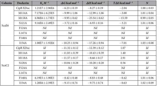 Table 1.   Thermodynamics of the interaction of CipB XDoc and its mutant derivatives with Cohs of ScaE6  and ScaC2