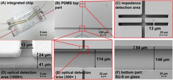Figure 3. (A) Photography of a hybrid chip integrated with electrodes and optical fibers; (B–F) scanning electron micrographs of the components of the microfluidic chip showing the configuration without the wall in between the optical fibers: (B) top part 