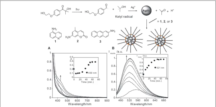 FIGURE 1 | Above: General synthetic pathway of the AgNPs synthesis. Below: (A) Absorption and emission (B) spectra of the AgNPs formation with time containing as additive compound 1, in a THF solution, T = 298 K, λ exc = 430 nm.