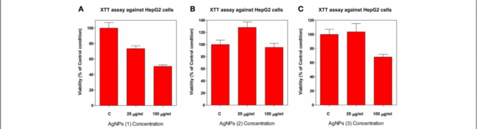 FIGURE 5 | Dose-dependent cytotoxicity of AgNPs against HepG2 cells. The cytotoxic effect of AgNPs against HepG2 cell line was evaluated by the XTT assay