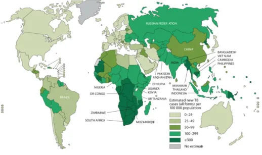 Figura 3: Estimativa da incidência global da TB em 2010 (WHO Global Tuberculosis Control, 2011)