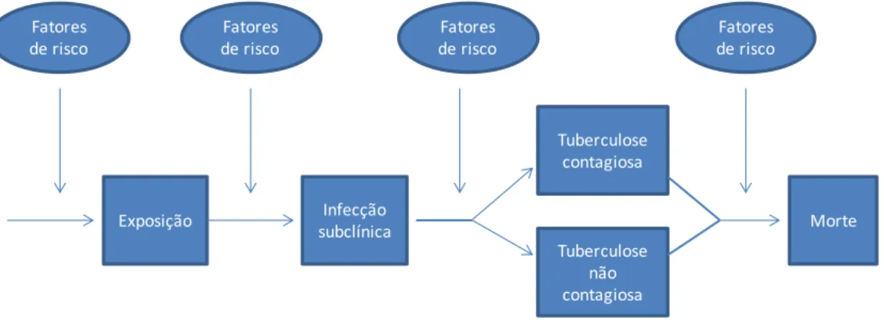 Figura 10: Modelo epidemiológica da tuberculose (Adaptado de Rieder, 2001).