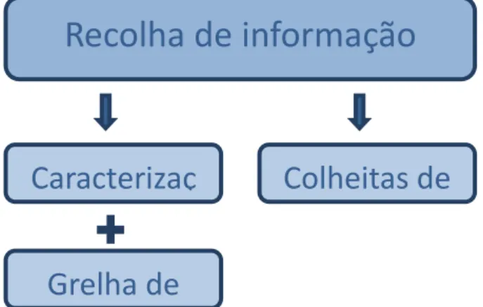 Figura 7: Processo de recolha de dados 