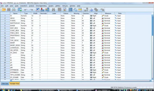 Figura 3  –  Exemplificação da análise dos dados através do programa SPSS® 