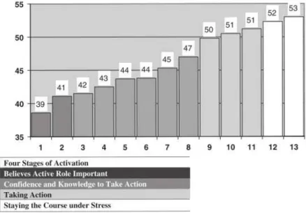 Figura 1 - Os 13 itens do PAM versão curta, com indicação da calibração dos itens e  identificação dos 4 níveis de ativação