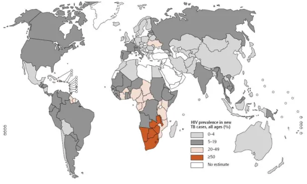 Figura  4:  Prevalência  de  VIH  estimada  em  novos  casos  de  tuberculose,  em  todas  as  idades (%), 2007