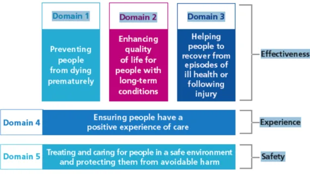 Figura 3. – Estrutura de avaliação de resultados no NHS – adaptado de NHS England, Understanding the New NHS  [24]