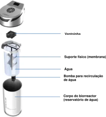 Figura 3: Interior de um biorreactor. 