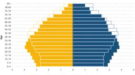 Figura 4  –  Estrutura populacional, por idade e sexo, União Europeia, 1994-2014 (4) 