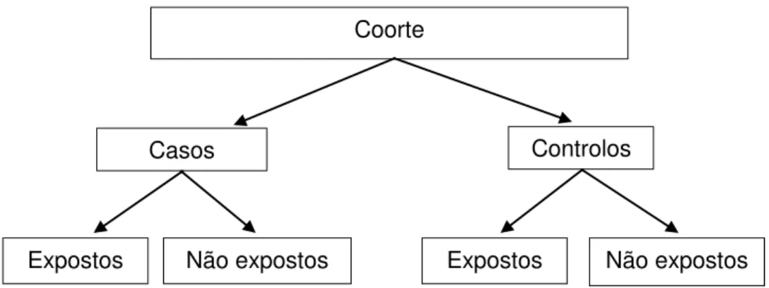 Figura 1 –  Esquema do desenho do estudo  