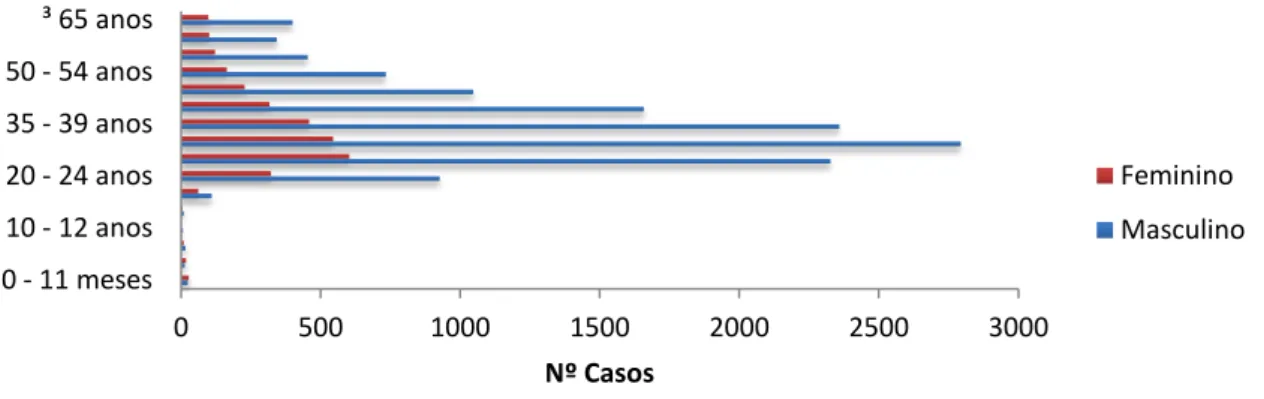 Figura 8: SIDA- Distribuição dos casos por grupo etário e género 01/01/1983  –  31/12/2010 