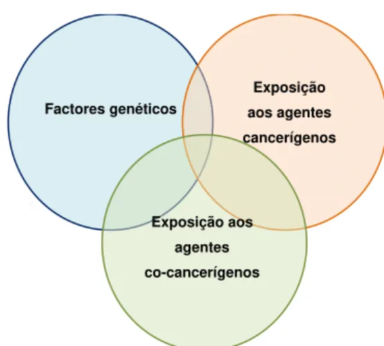 Figura 1 - Determinantes implícitos no risco individual do cancro