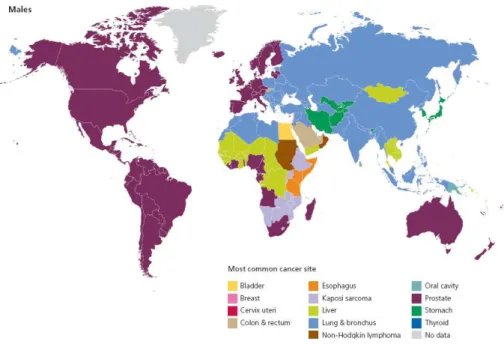 Figura 3 - Distribuição mundial dos cancros mais frequente nos homens, 2008 