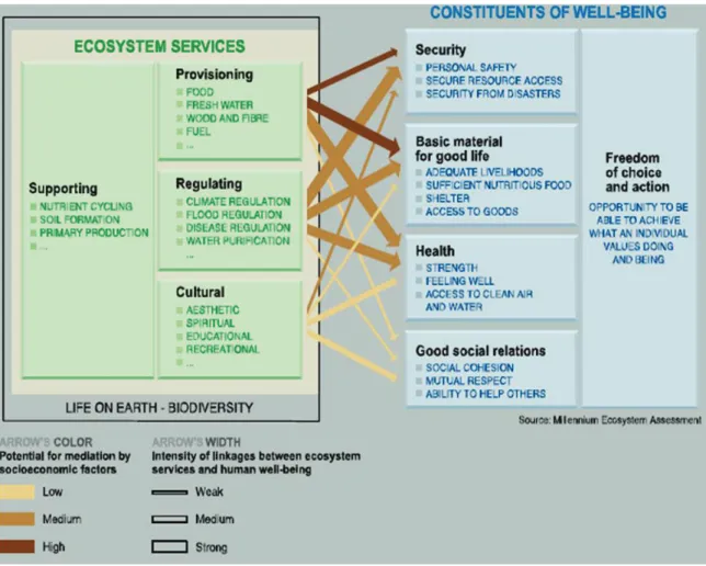 Figura 2 – Relação entre os serviços dos ecossistemas e o bem-estar humano 