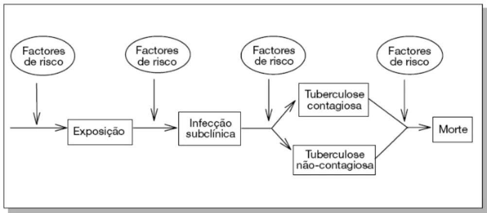 Figura 1 – “Um modelo epidemiológico da tuberculose, de acordo com a patogénese” . 