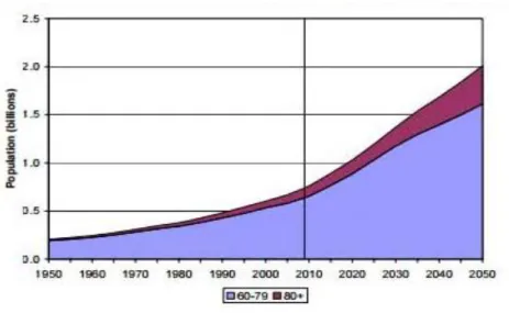 Fig. 1 – Projeção do envelhecimento mundial. Fonte: Nações Unidas 2009 