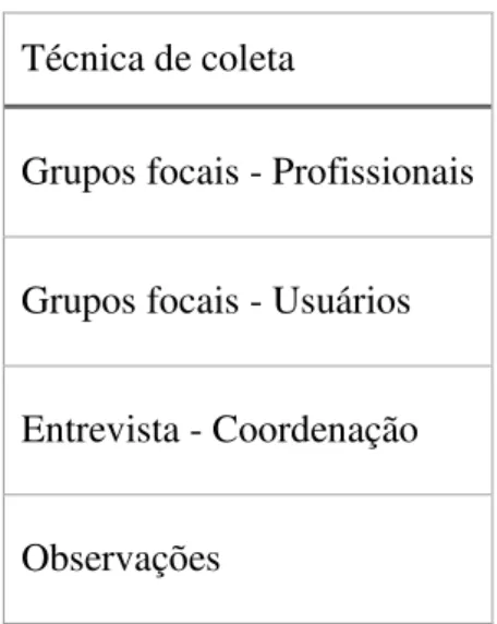 Figura 5 - Síntese da coleta de dados: 