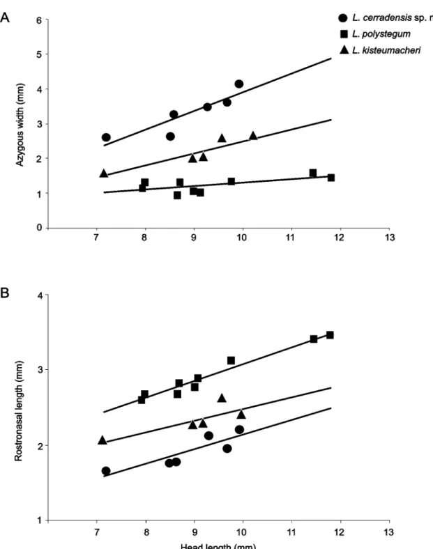 FIGURE 4. Relationship between head length and (A) azygous width, and (B) rostronasal length in Leposternon cer- cer-radensis sp