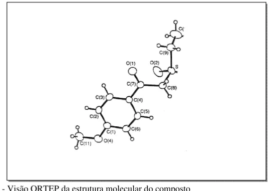 Figura 2 - Visão ORTEP da estrutura molecular do composto 