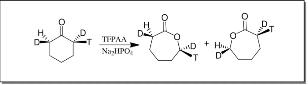 TABELA  1  -  Influência  de  efeitos  eletrônicos  na  reação  de  Baeyer-Villiger  usando  benzofenonas mono-para-substituídas e PAA