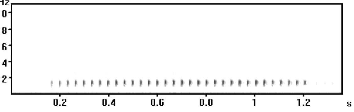 Figura 13: Sonograma de canto de anúncio de Proceratophrys brauni. ROL 397, 20  de setembro de 2006, 17,4 o C