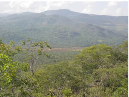 Figura 4 - Vista do Parque Nacional da Serra do Cipó – MG, maio 2008  Foto: Teresa C. Magro 