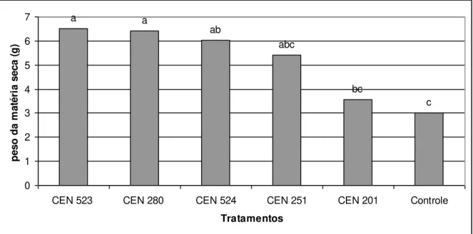 FIGURA  2  –   Valores  médios  de  matéria  seca  (g)  de  maracujá  obtidos  pelo  tratamento das estacas com isolados de Trichoderma, independente do uso de AIB