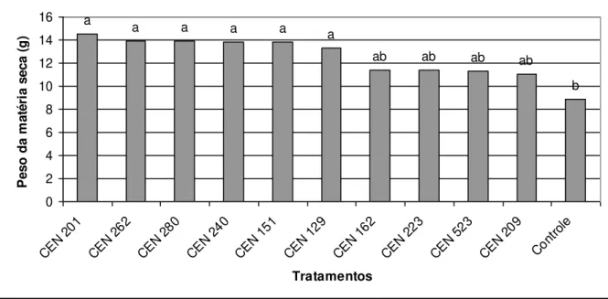 Figura  8  –   Efeito  de  isolados  de  Trichoderma  sp.  na  massa  seca  (g)  de  raízes  de  feijoeiro em campo