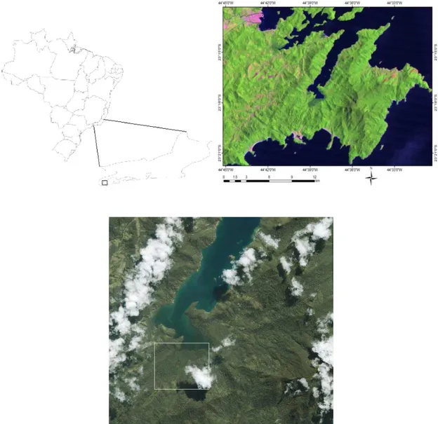 Figura 13 – Localização e imagem do manguezal do Paraty (RJ), na região do Saco do Mamanguá, uma  reentrância de 9 km de comprimento e 1,5 km de largura, com configuração de “ria”