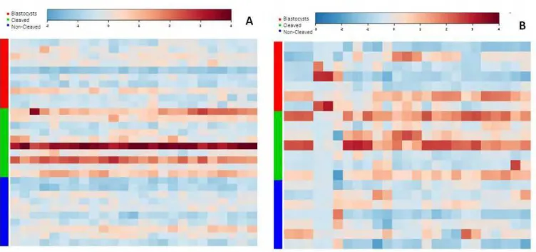 Figura 5. Heatmaps mostrando no geral a distribuição dos lipídios dentro dos grupos experimentais, nas colunas diferentes  lipídios (m/z) detectados pelo equipamento, nas linhas as amostras e as cores representam as intensidades