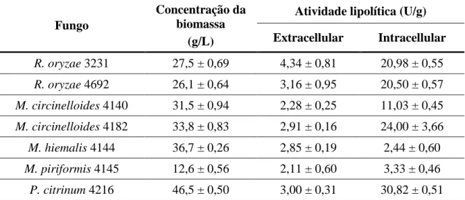 Tabela  5.1.  Concentração  de  biomassa  e  valores  máximos  de  atividade  lipolítica  do  filtrado (extracelular) e da biomassa (intracelular) para os fungos testados.